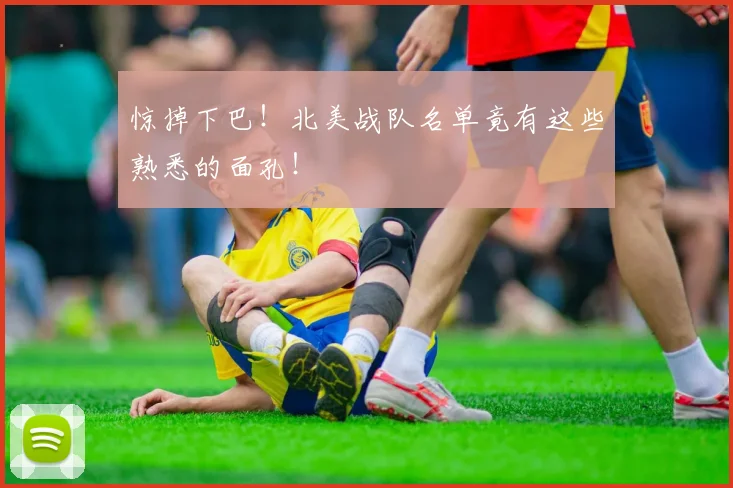 惊掉下巴！北美战队名单竟有这些熟悉的面孔！
